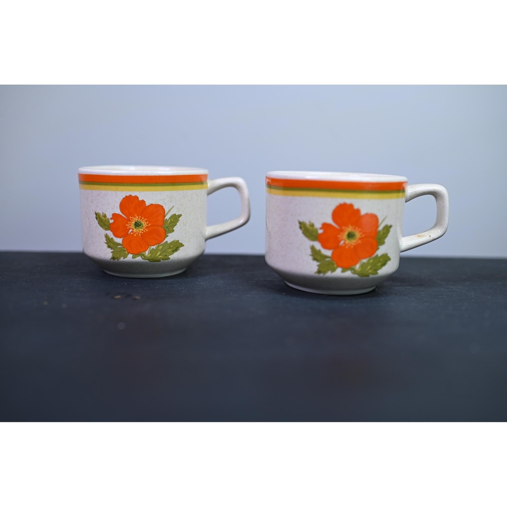 Vintage Lenox Temperware Fire Flower Mugs Set of 2 Retro 70s Orange Floral Mug